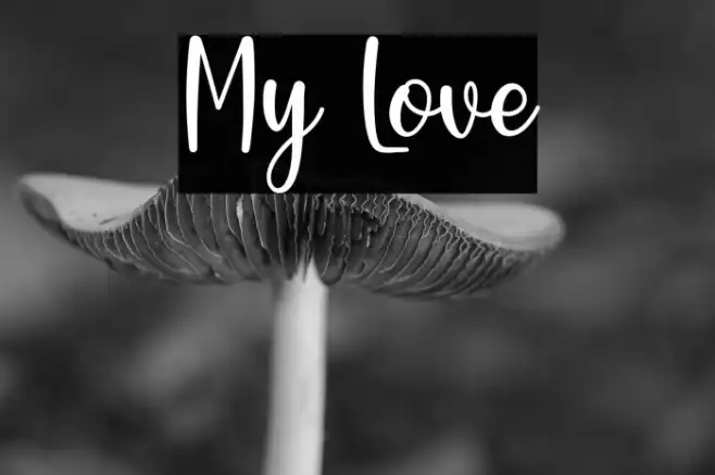 My Love Example 2