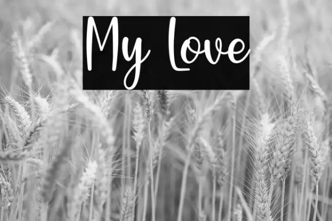 My Love Example 3