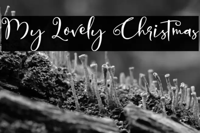 My Lovely Christmas Font examples