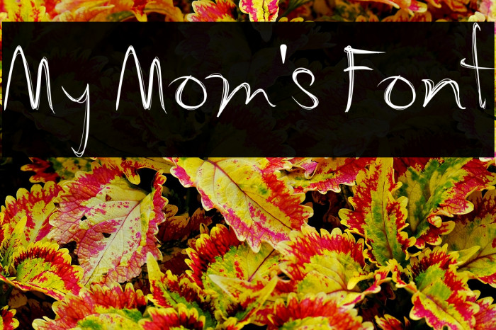 My Mom's Font Example 1