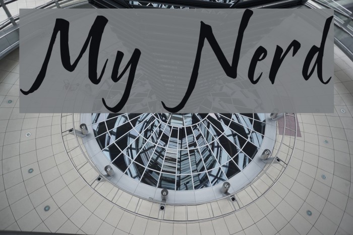 My Nerd Font examples