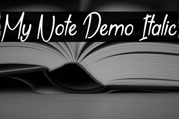 My Note Demo Italic Example 1