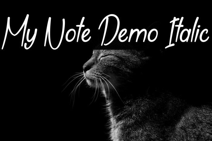 My Note Demo Italic Example 3