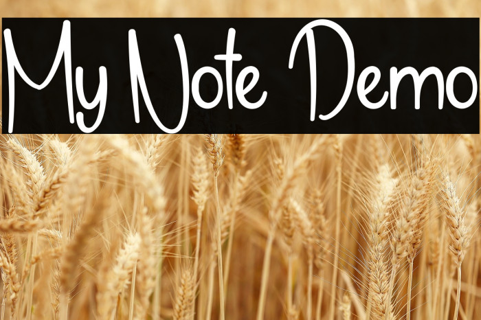 My Note Demo Example 1