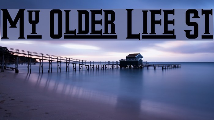My Older Life St Font examples