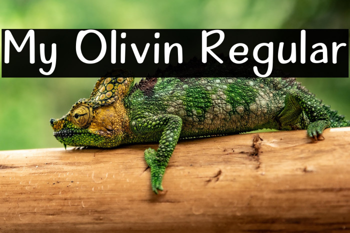 My Olivin Regular Example 2