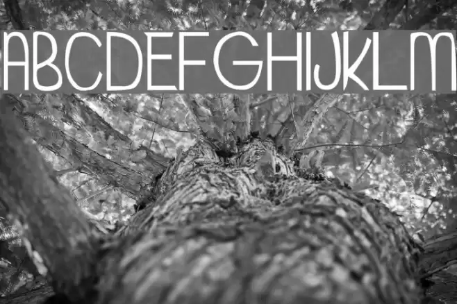 My Organization Font examples