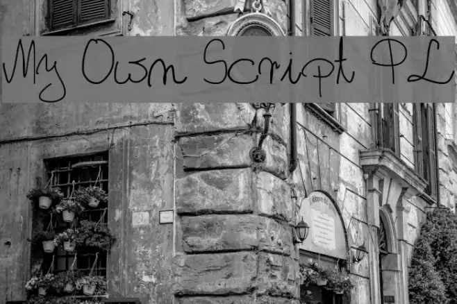 My Own Script PL Example 1