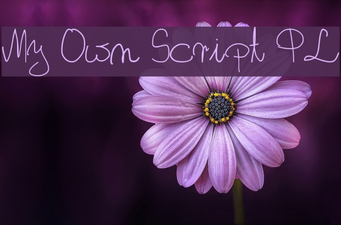 My Own Script PL Font examples