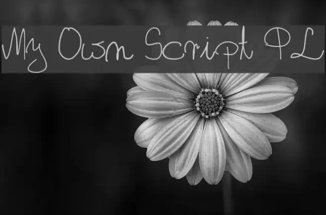 My Own Script PL Example 2