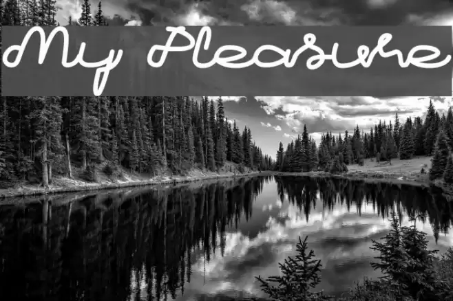 My Pleasure Font examples