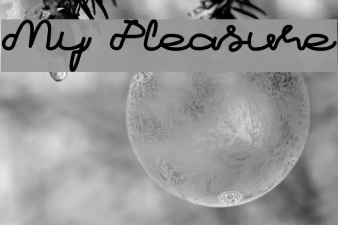 My Pleasure Font examples