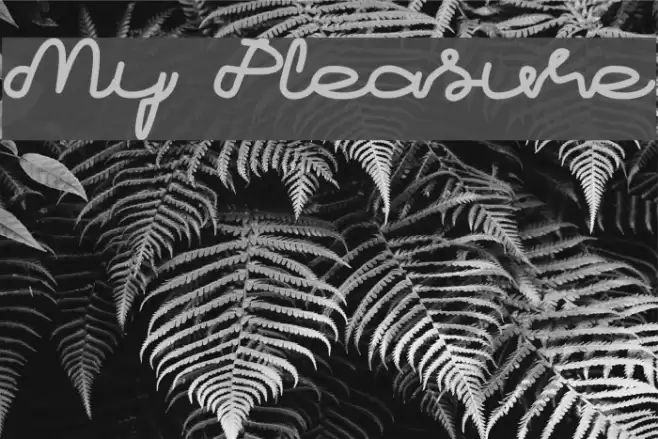 My Pleasure Font examples