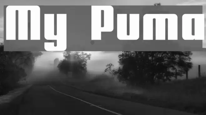 My Puma Font examples