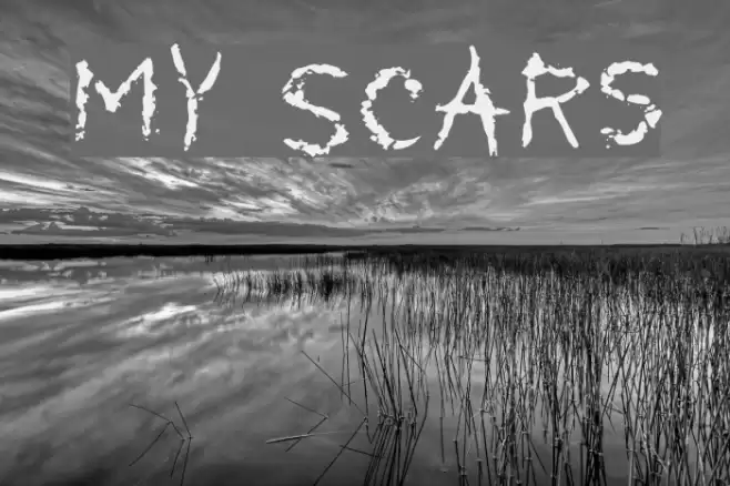 My Scars Font examples