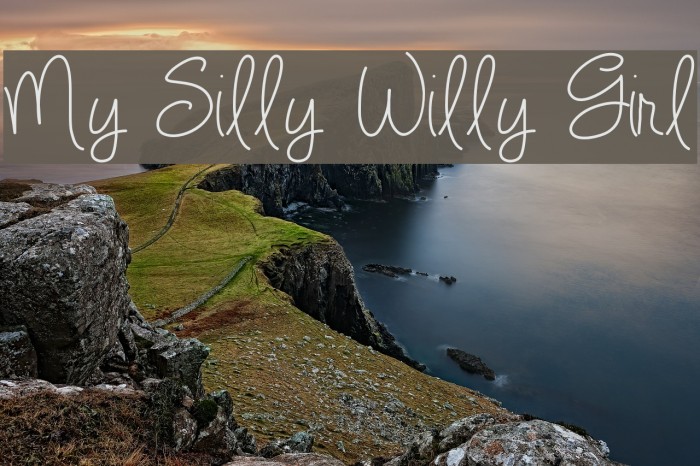 My Silly Willy Girl Font examples