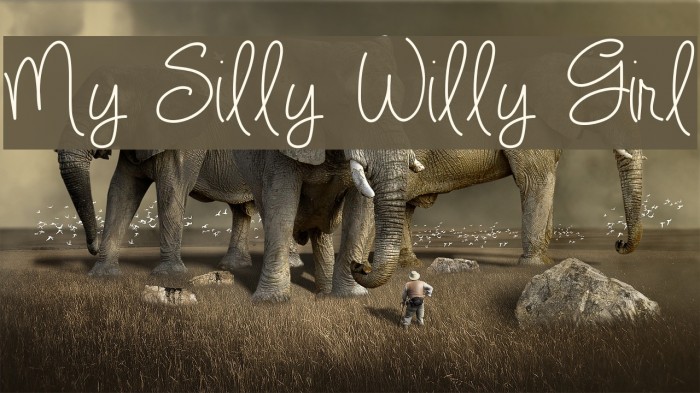 My Silly Willy Girl Font examples