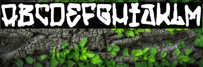 My Street My Rules Example 1