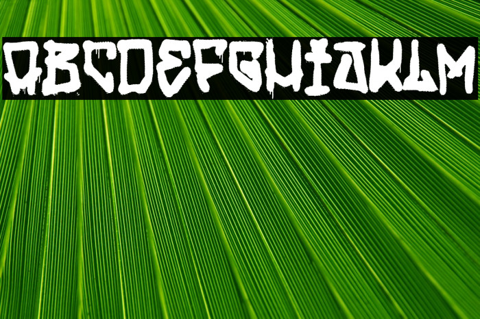 My Street My Rules Example 3