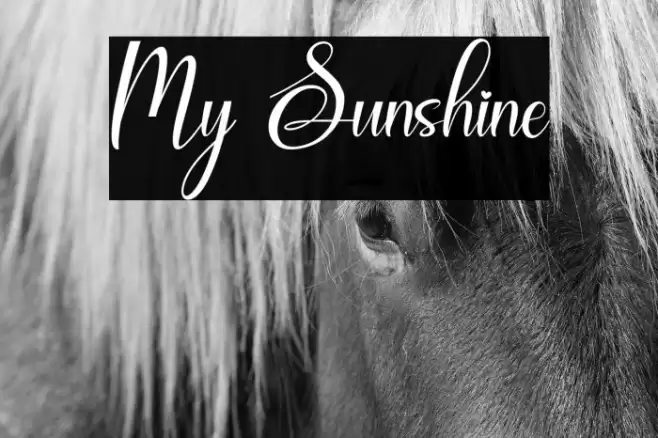 My Sunshine Font examples