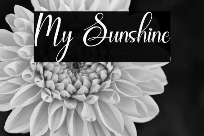 My Sunshine Font examples