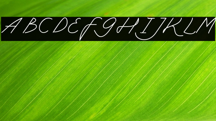 My Ugly Handwritting Demo Version Example 1