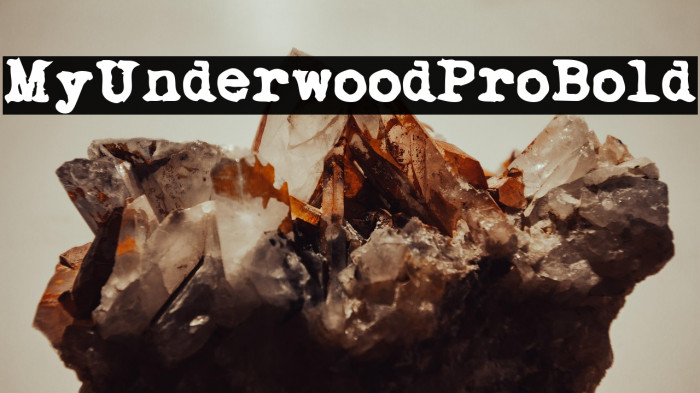 My Underwood Pro Bold Example 1
