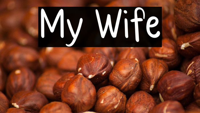My Wife Example 1