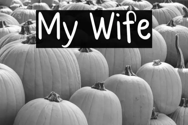My Wife Example 3
