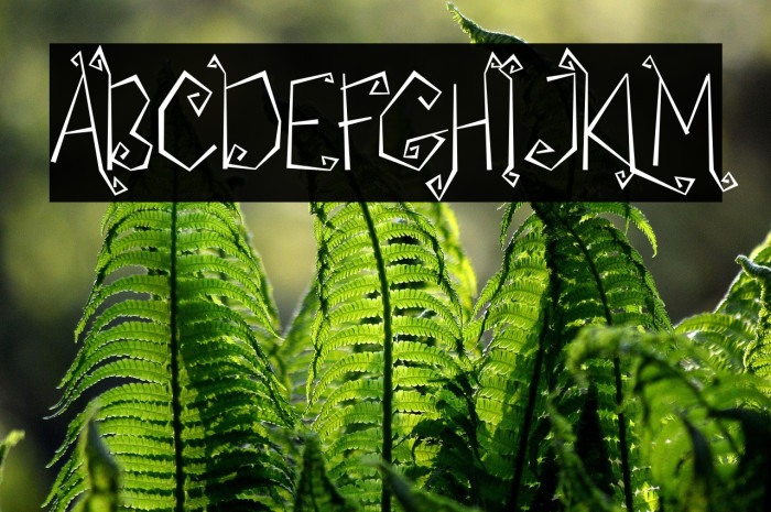 My Witcher Example 3