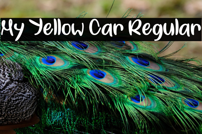 My Yellow Car Regular Example 1