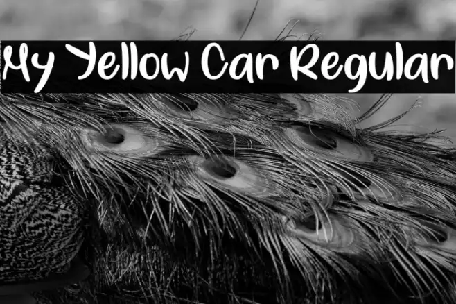 My Yellow Car Regular Example 1