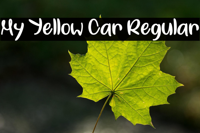 My Yellow Car Regular Example 2
