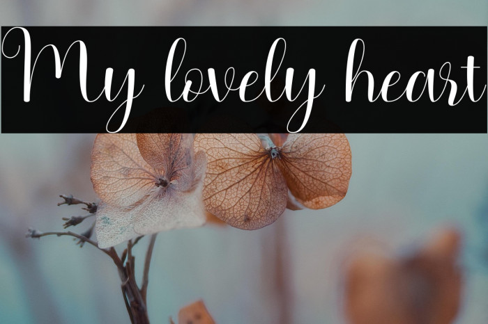 My lovely heart Example 2