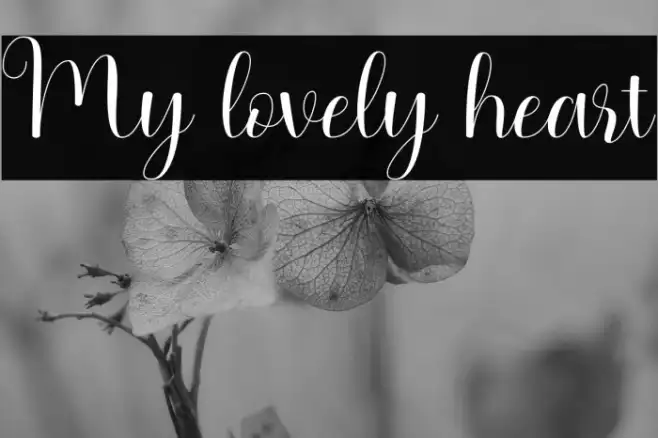 My lovely heart Example 2