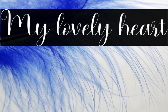 My lovely heart Example 3