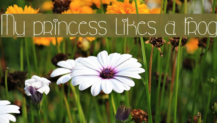 My princess likes a frog Font examples
