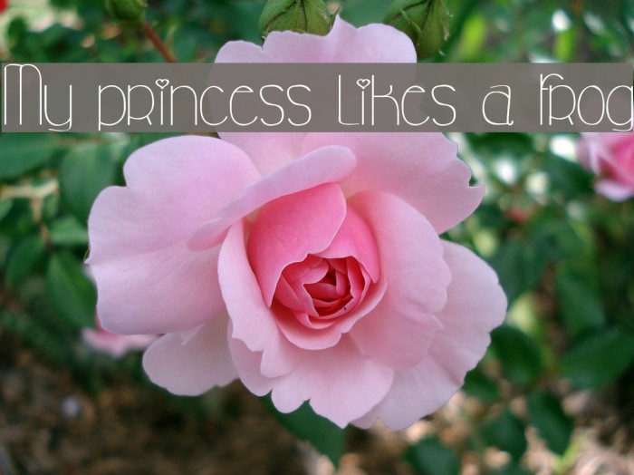 My princess likes a frog Font examples