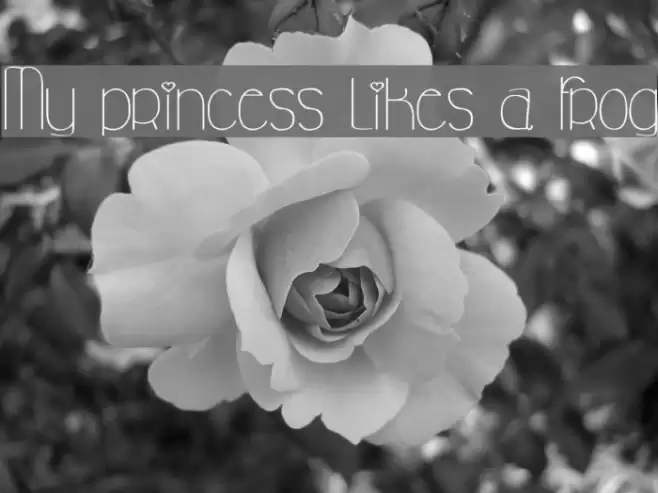 My princess likes a frog Font examples