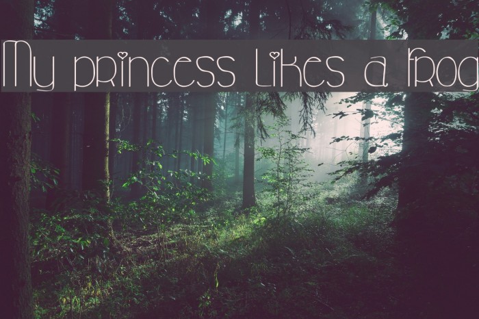 My princess likes a frog Font examples