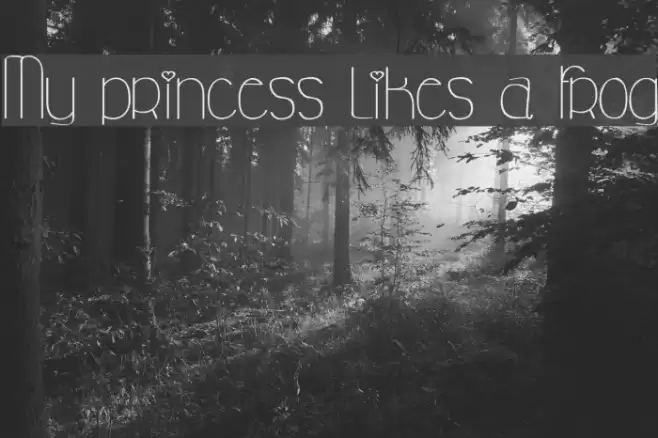 My princess likes a frog Font examples