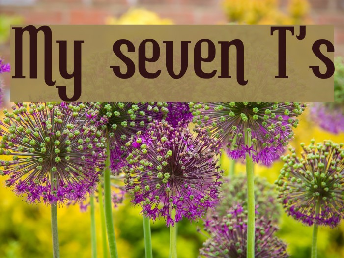 My seven T's Example 2