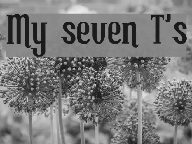 My seven T's Example 2