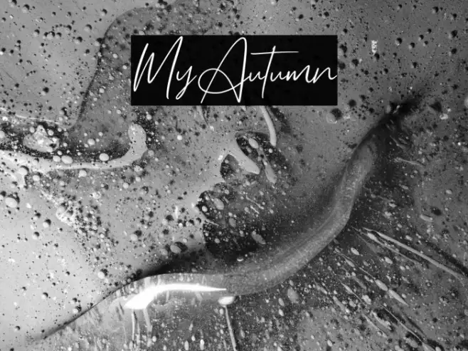 MyAutumn Example 1