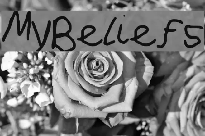 MyBeliefs Example 1
