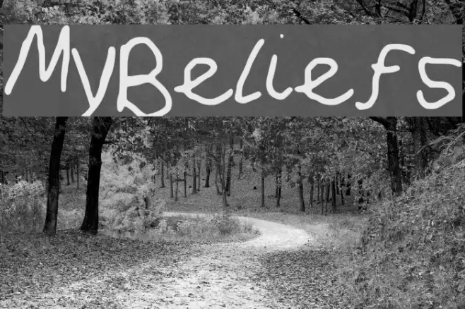 MyBeliefs Example 2