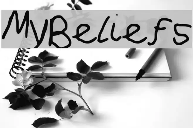 MyBeliefs Example 3