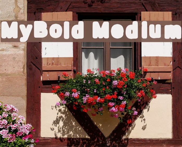 MyBold Medium Font examples