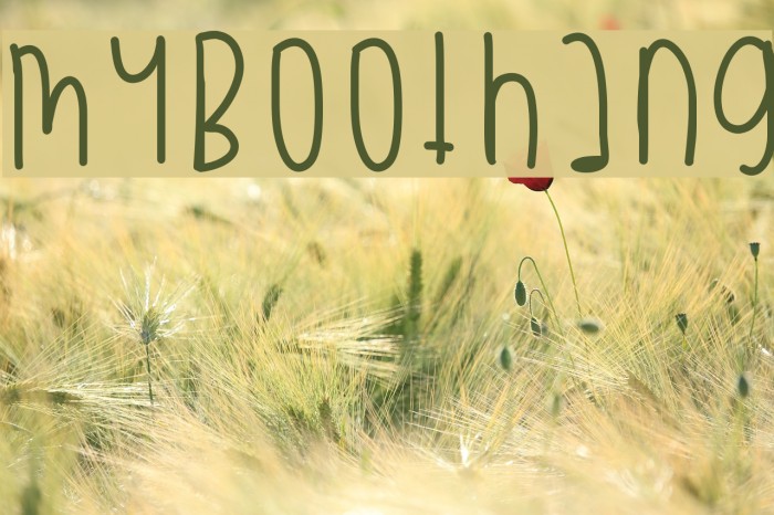 MyBooThang Example 2