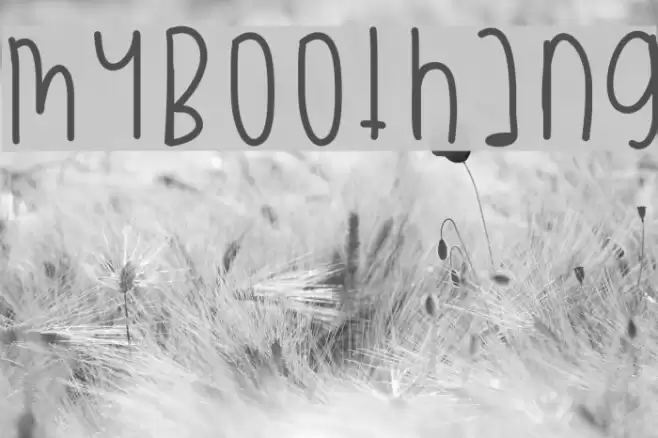 MyBooThang Font examples